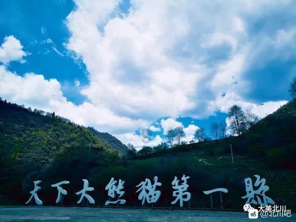 脑洞小老弟无实名认证