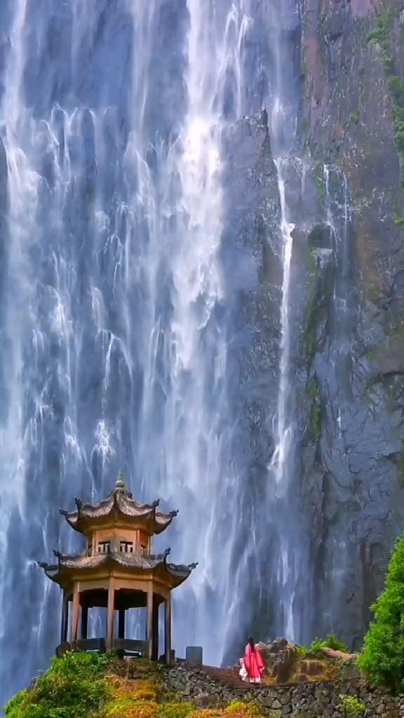 红树林逃生